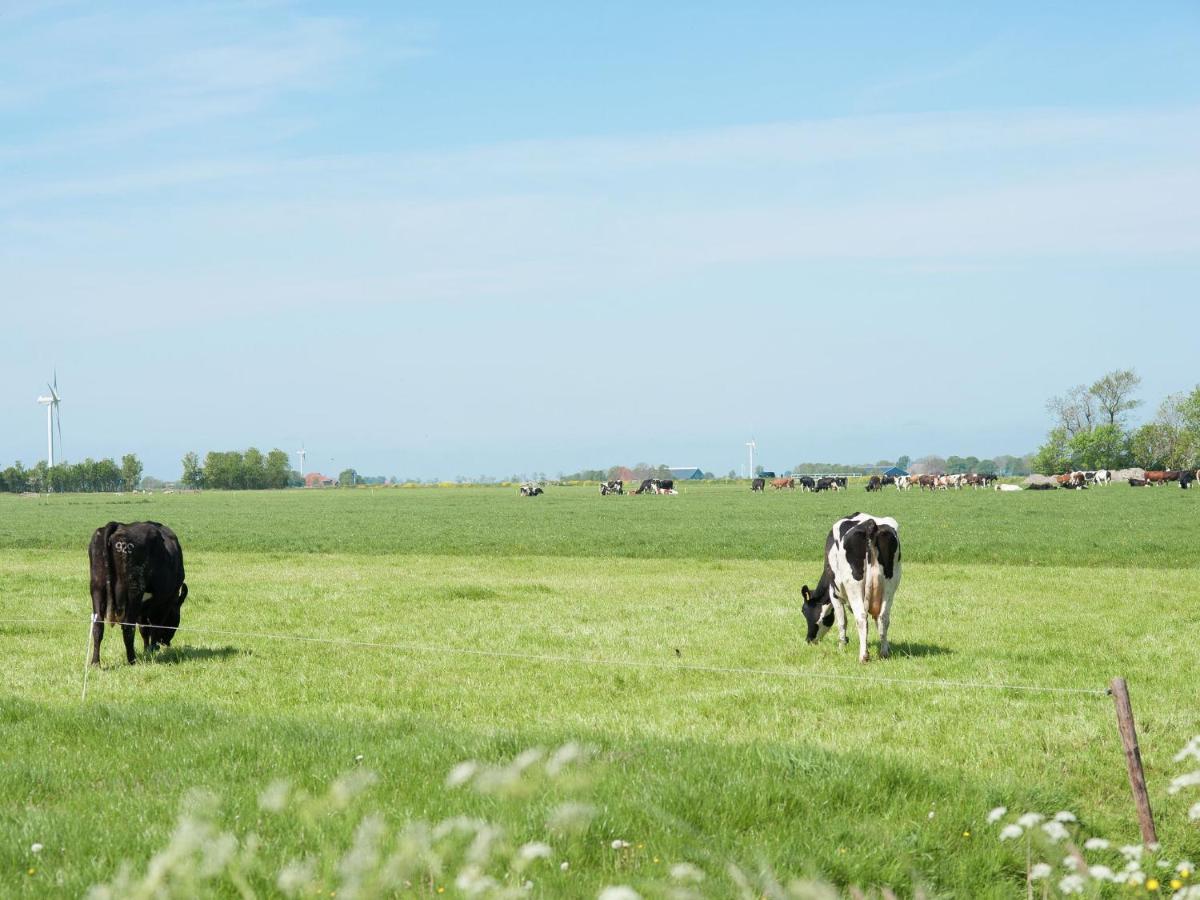 Charming House In Easterlittens On A Frisian Farm Wommels Esterno foto